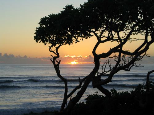 Sunrise- Kauai: Click for more pictures